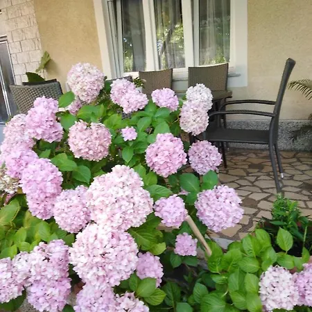 Apartament Apartman Paulina