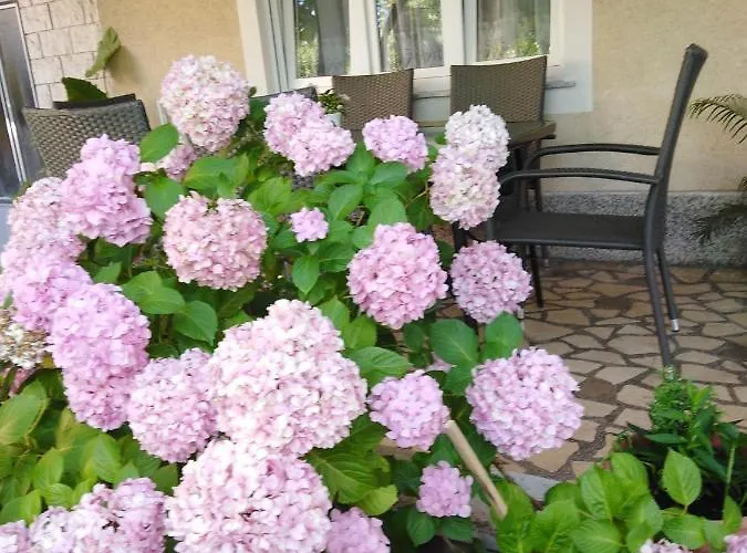 Lejlighed Apartman Paulina